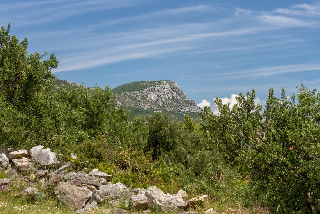 Panorama Holidays Kaštel Stari Dış mekan fotoğraf